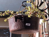 Yard & Garden - vintage cast iron pot w/bale handled pot w/succulents