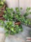 Yard & Garden - terra cotta planter pot 12