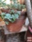 Yard & Garden - lg. decor terra cotta planter pot 18