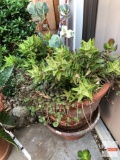 Yard & Garden - 2 terra cotta planter pots 12