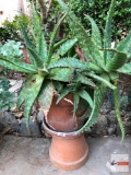 Yard & Garden - 2 terra cotta planter pot with succulents 28