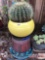 Yard & Garden - Round decor yellow planter pot w/ barrel cactus 22