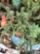 Yard & Garden - Terra cotta planter pot w/ cactus 7
