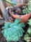 Yard & Garden - terra cotta planter pot with succulents, 5.5