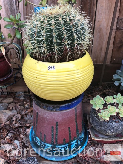 Yard & Garden - Round decor yellow planter pot w/ barrel cactus 22"h and decor planter pot 10"h