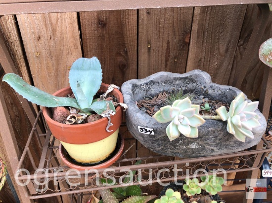 Yard & Garden - 2 potted planters, 6"h