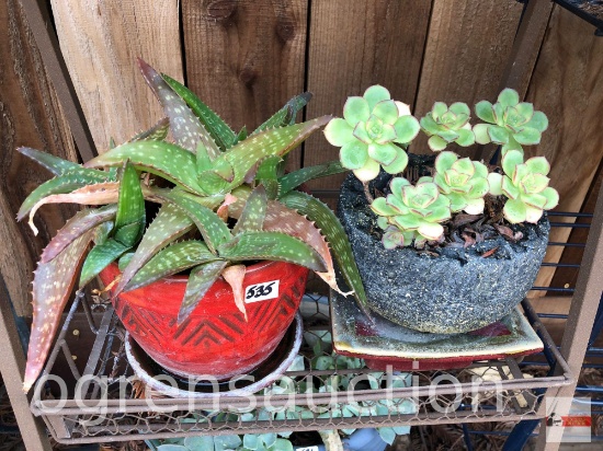 Yard & Garden - 2 potted planters w/succulents, 10"h