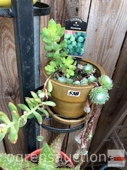 Yard & Garden - 5"h potted brown planter pot