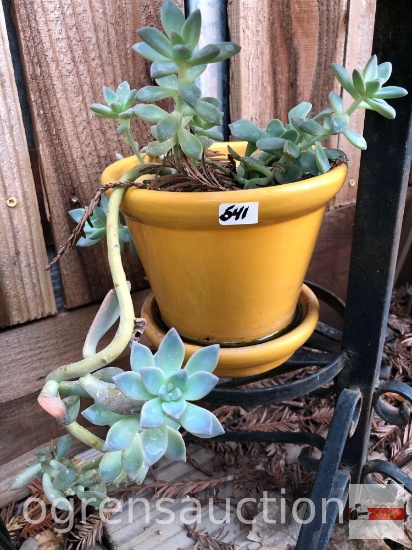 Yard & Garden - 5"h potted lite orange planter pot