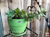 Yard & Garden - Decor planter pot, green, with succulents, 5