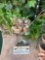 Yard & Garden - Terra Cotta planter pots, sm. glass top table & Gardening sign