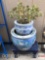 Yard & Garden - 2 Asian planter pots 8