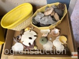 Rocks & shells