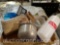 Pet Supplies - Cat - litter pan liners, drink bottle, dishes, scoops, combs