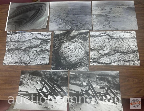 Photography - 8 Desert Scenes, Large Black/white 16x20 photographs