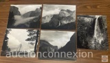 Photography - 5 Yosemite, Large Black/white 16x20 photographs, Award winning Photographer Alexander