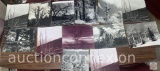 Photography - 13 Tree scenes, Large Black/white 16x20 photographs