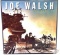 Record Album - Joe Walsh