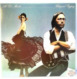 Record Album - Al Di Meola