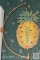 Decor Thermometer, wall mount Pineapple