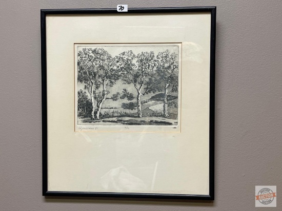 Artwork - Etching, "Sycamores"