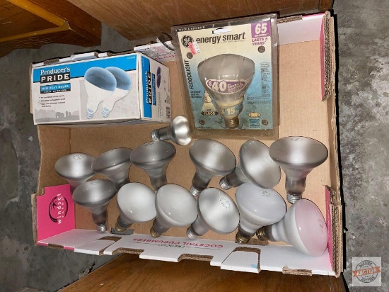 Lighting - Flood light bulbs