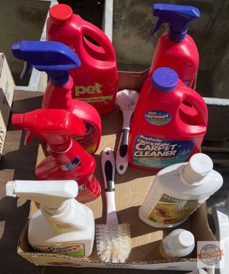 Cleaners - Carpet cleaners