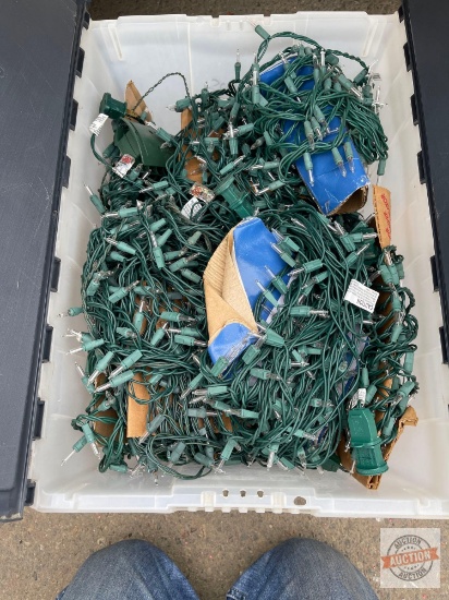Christmas - Tub of Christmas lights