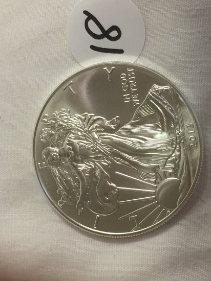 Collector 2013 1 oz American Silver Eagles Coin Bullion .999 Fine Silver Dollar