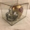 Collector Autographed San Francisco 49ers Jerry Rice Signed Mini Helmet Box: 5.5