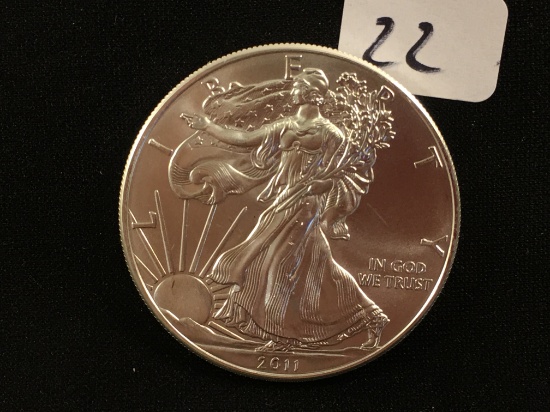 Collector  2011 1 oz Silver American Eagle