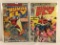 Lot of 2 Collector Vintage Marvel Comics The Human Fly  Comic Book No.17.18.