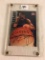 Collector 1997 Score Board Marcus Camby Hand Signed Basketball Card