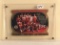 Collector '95-96 NBA Chicago Bulls Card 7