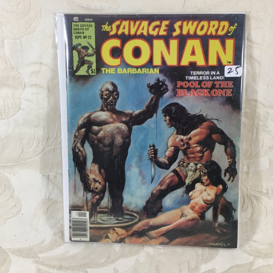 Collector Vintage Curtis The Savage Sword Of Conan The Barbarian Magazine No.22