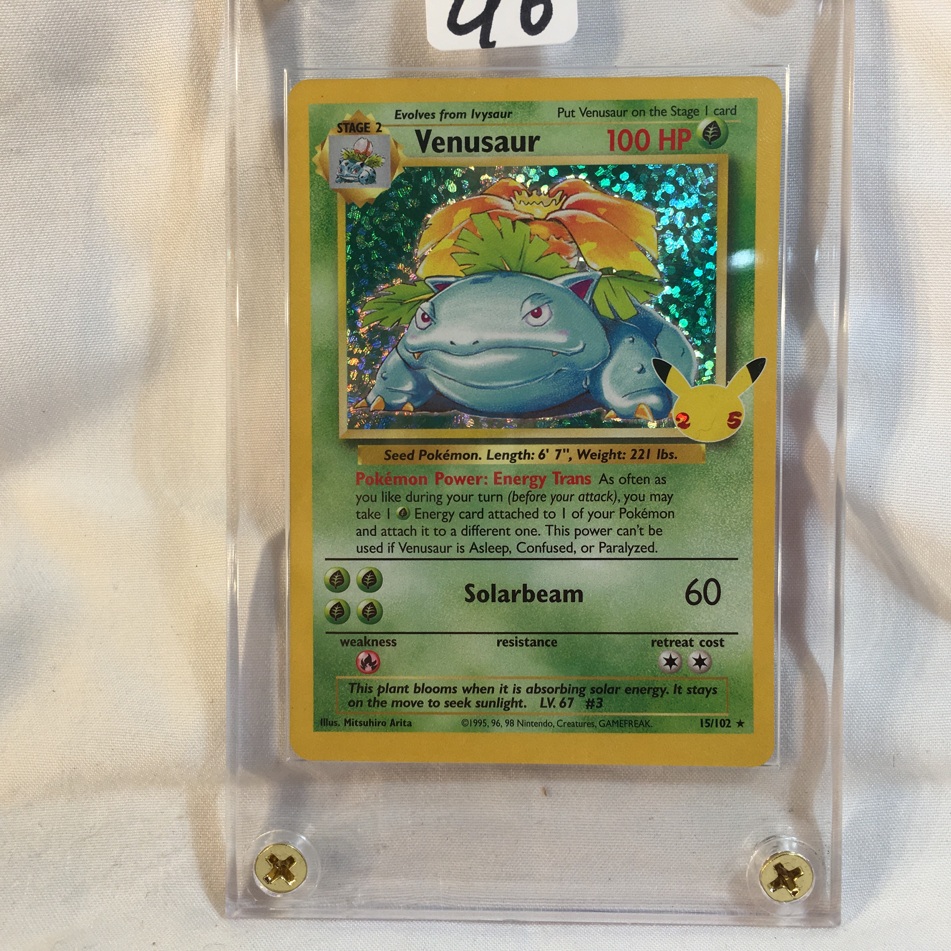 Collector Modern 1995 Pokemon TCG Stage 2 | Proxibid Collector Modern 1995 Pokemon TCG Stage 2 | Proxibid
