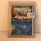 Collector Modern 2011 Pokemon TCG Basic Cubchoo 28/98 Holo Trading Card