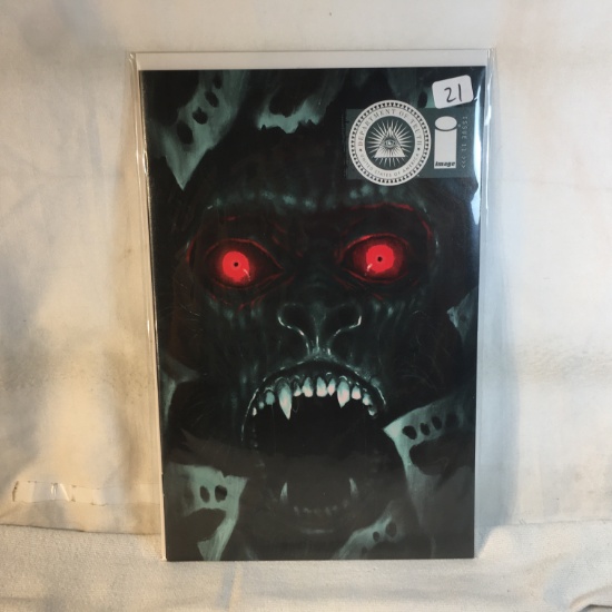 Collector Modern Image Comics The Department Of Truth Comic Book No.11