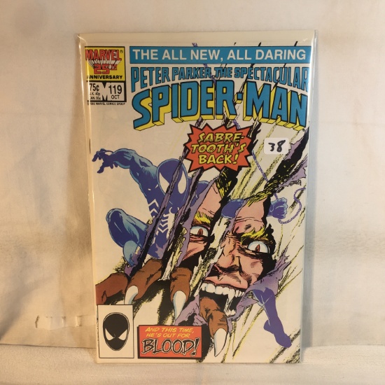 Collector Vintage Marvel Comics  Peter Parker The Spectacular Spider-man Comic Books  No.119
