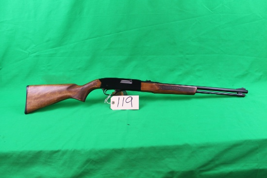 Winchester 290 22