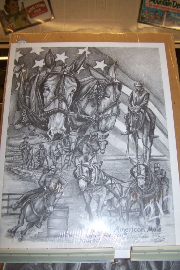 GREAT AMERICAN MULE PICTURE