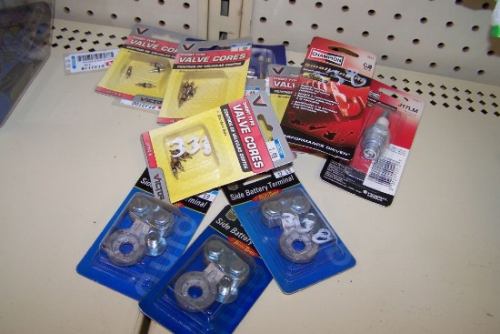 VALVE CORES, SIDE BATTERY TERMINALS, SMALL ENGINE OE REPLACEMENT