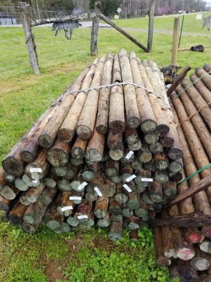 3" X 7' TREATED WOOD POSTS (50)