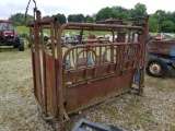 CATTLE SQUEEZE WORKING CHUTE, UNIVERSAL HEAD GATE