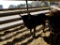 BLACK ZEBU CROSS BULL WEIGHING 525 LBS