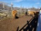 3 LONGHORN COW/CALF PAIRS AND 1 LONGHORN BRED COW, ALL SELL FOR ONE MONEY,