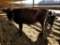 JERSEY COW WEIGHING 735 LBS