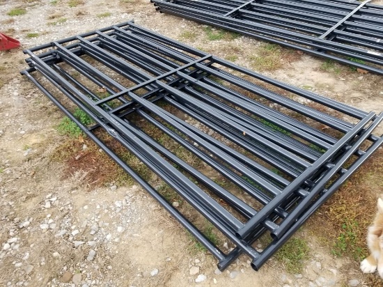 NEW 10' BLK GATE