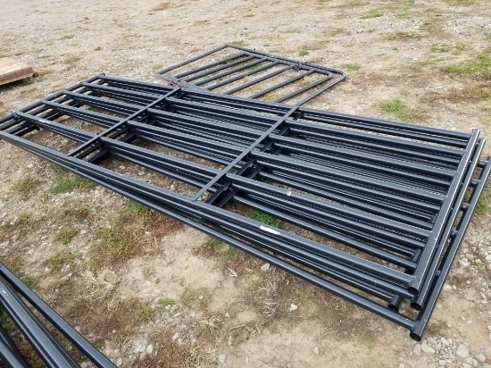 NEW 12' BLK GATE