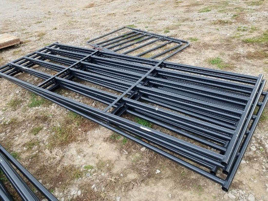 NEW 12' BLK GATE